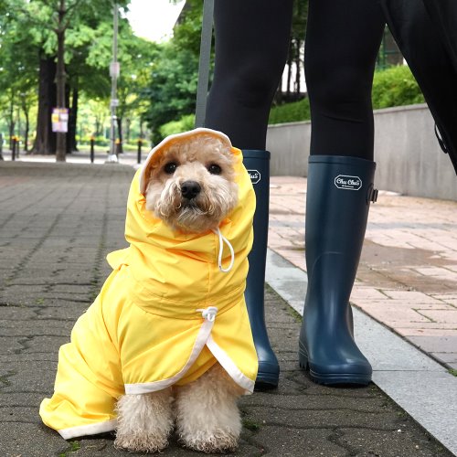 (韓國進口)寵物外出雨衣